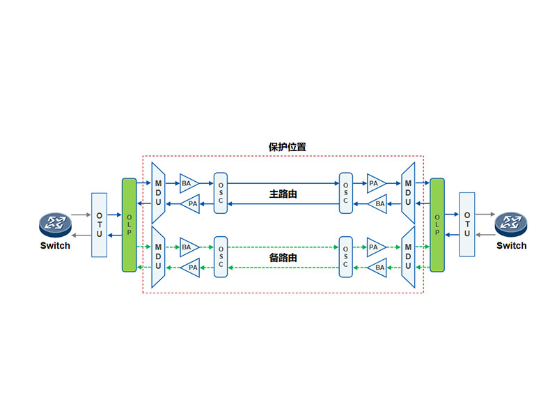 100G保護方案